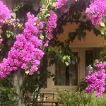 Gli Oleandri * Torri Del Benaco