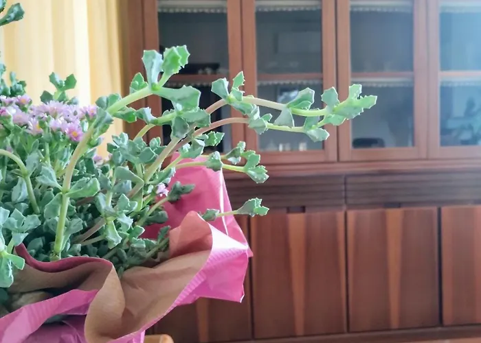 Gli Oleandri * Torri Del Benaco